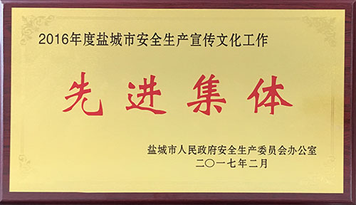 2016年2月全市目標(biāo)任務(wù)綜合考核綜合先進(jìn).JPG